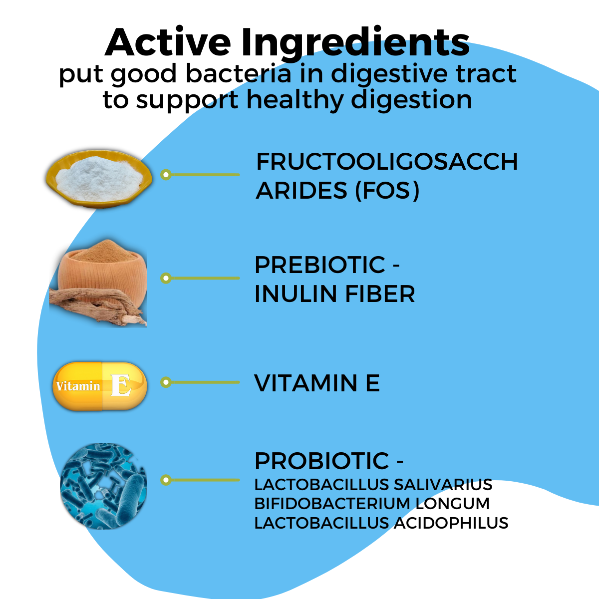 Pet Logic Probiotic Digestive Health 120g Dog & Cat Treats Supplement Multivitamins for Happy Tummy