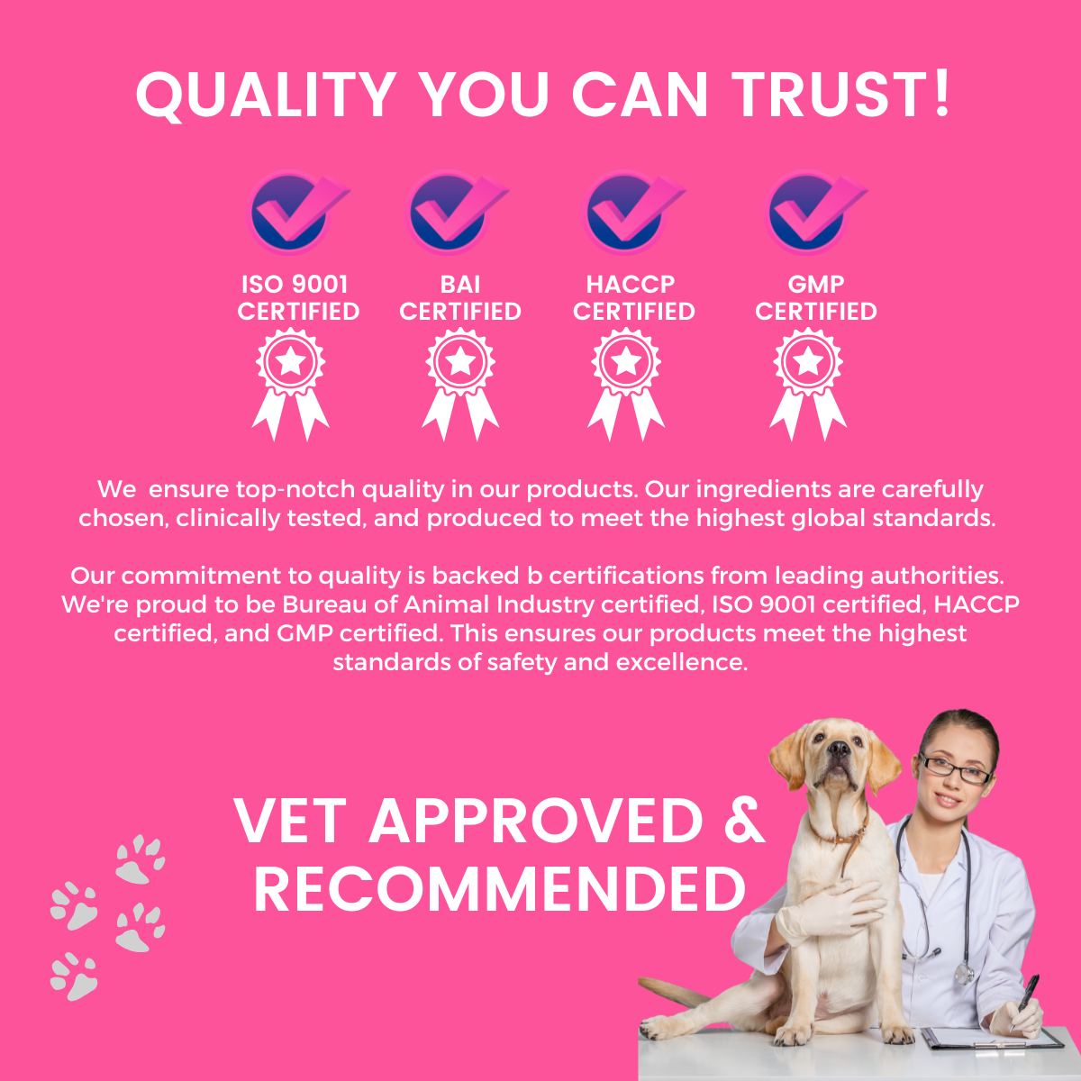 Pet Logic Dental Bone Chews 72g (Doypack) Dog Treats