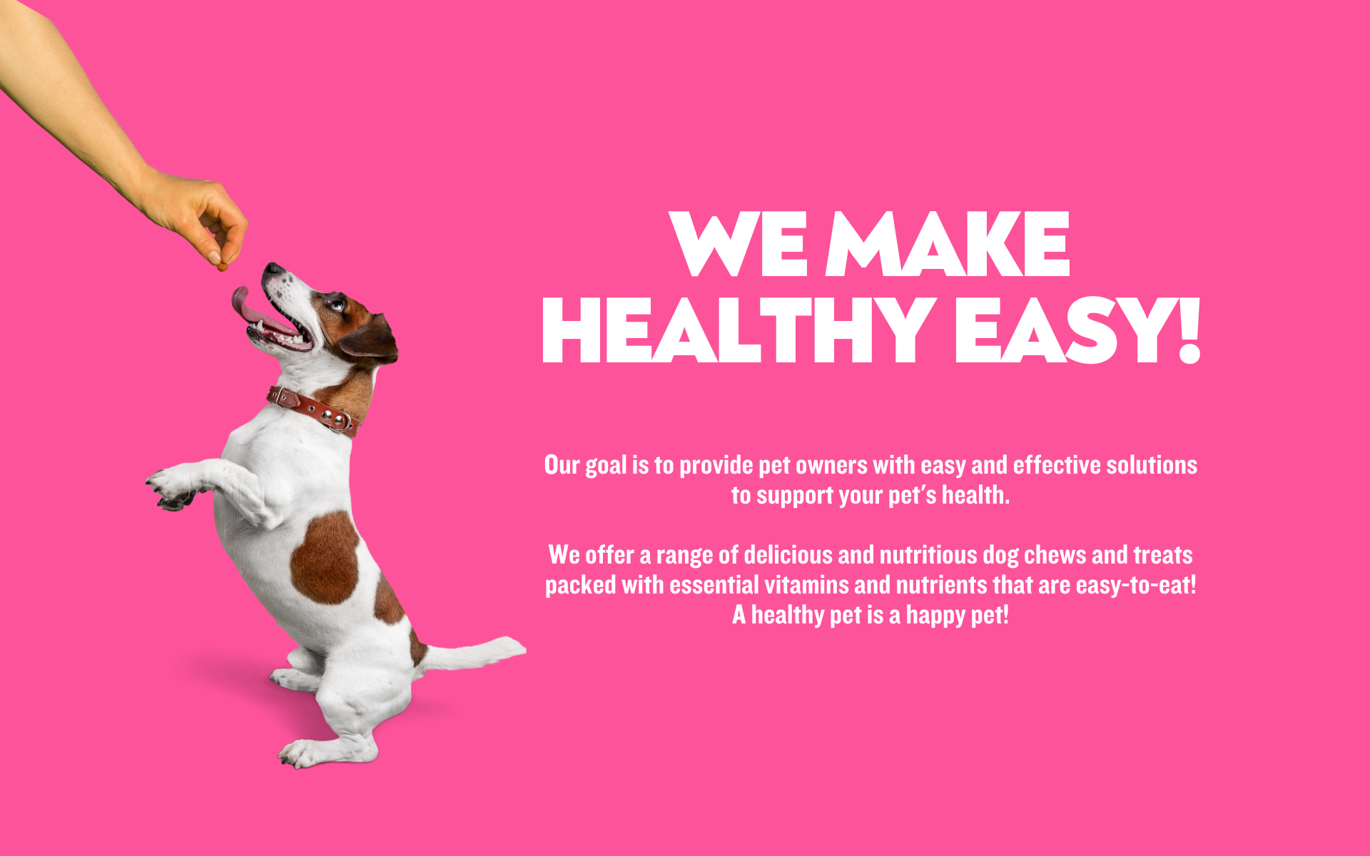 WE MAKE HEALTHY EASY