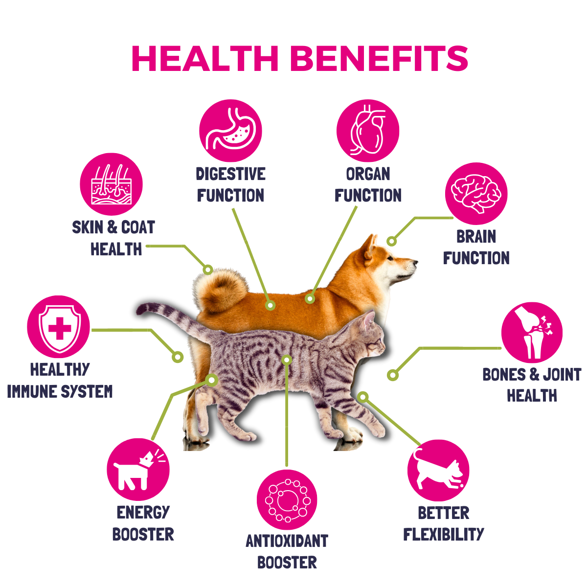 Pet Logic 10-in-1 Multivitamins 240g Dog & Cat Treats Supplement  Pet Vitamins for Pro Immune System