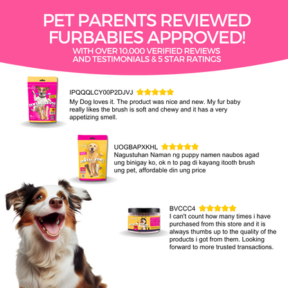 Pet Logic Dental Biscuits 60g MIXED (Doypack) Dog Treats