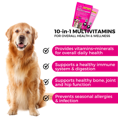Pet Logic 10-in-1 Multivitamins 120g Dog & Cat Treats Supplement  Pet Vitamins for Pro Immune System