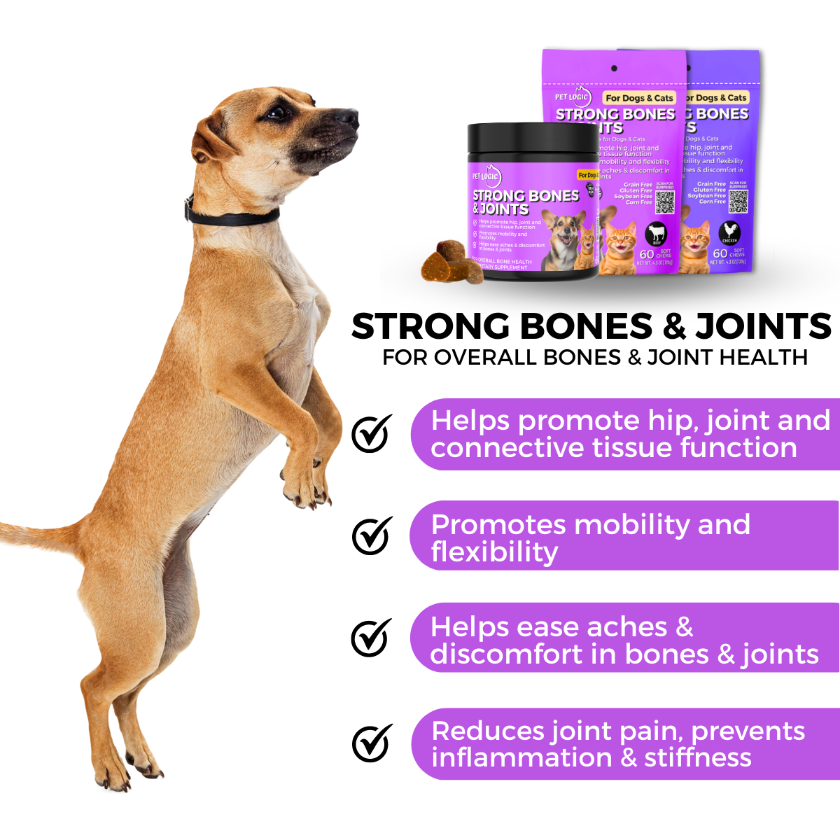 Pet Logic Strong Bones & Joints 240g Dog & Cat Treats Supplement Vitamins for Jolly Joints Support