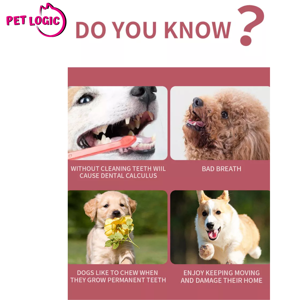 Pet Logic Dental Bone Chews  25g x10 PORK (Pouch) Dog Treats