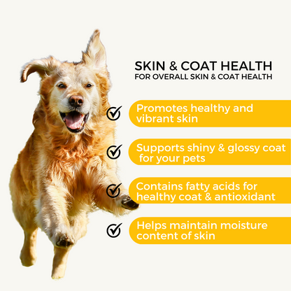 Pet Logic Probiotic Digestive Health + Pet Logic Skin & Coat Health Supplements